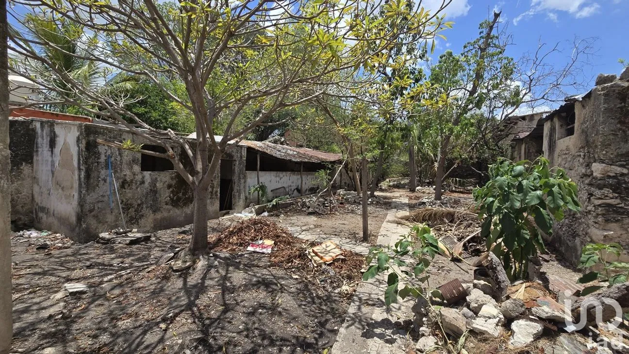 Casa en Venta en Mérida Centro, Mérida, Yucatán | NEX-277141 | iad México | Foto 10 de 13