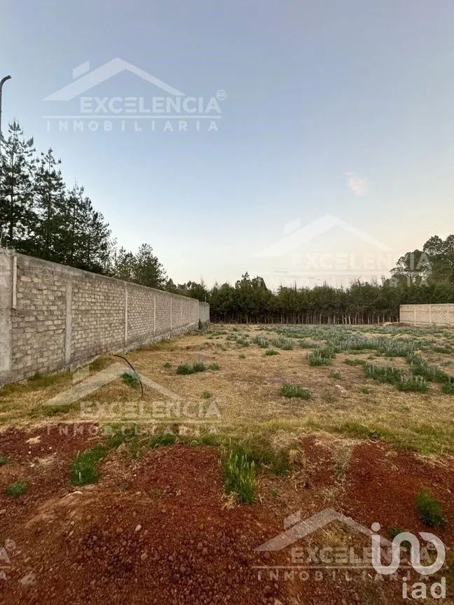 Terreno en Venta en El Manzanillal (Colonia Enrique Ramírez), Pátzcuaro, Michoacán | NEX-228101 | iad México | Foto 11 de 14