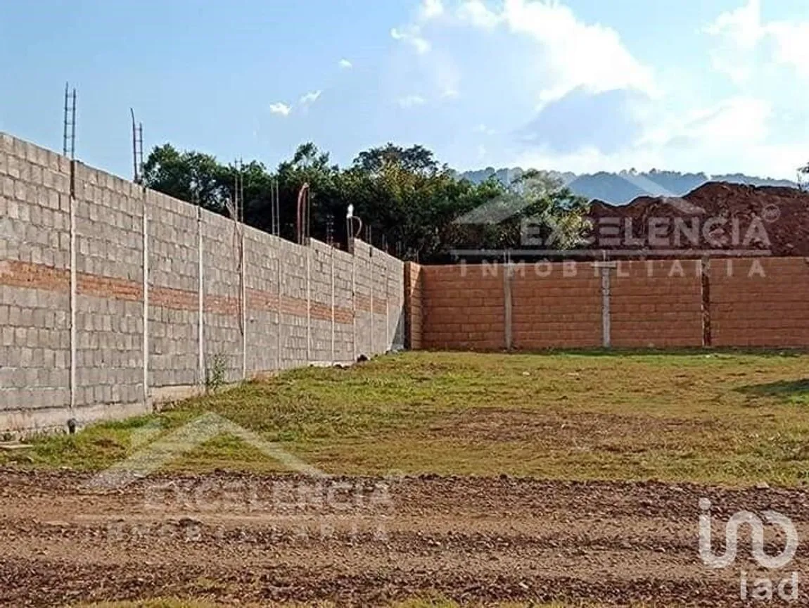 Terreno en Venta en El Manzanillal (Colonia Enrique Ramírez), Pátzcuaro, Michoacán | NEX-228101 | iad México | Foto 4 de 14