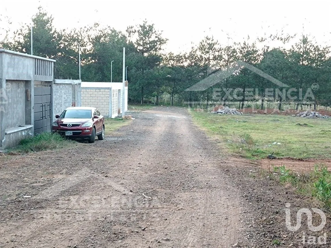 Terreno en Venta en El Manzanillal (Colonia Enrique Ramírez), Pátzcuaro, Michoacán | NEX-228101 | iad México | Foto 6 de 14
