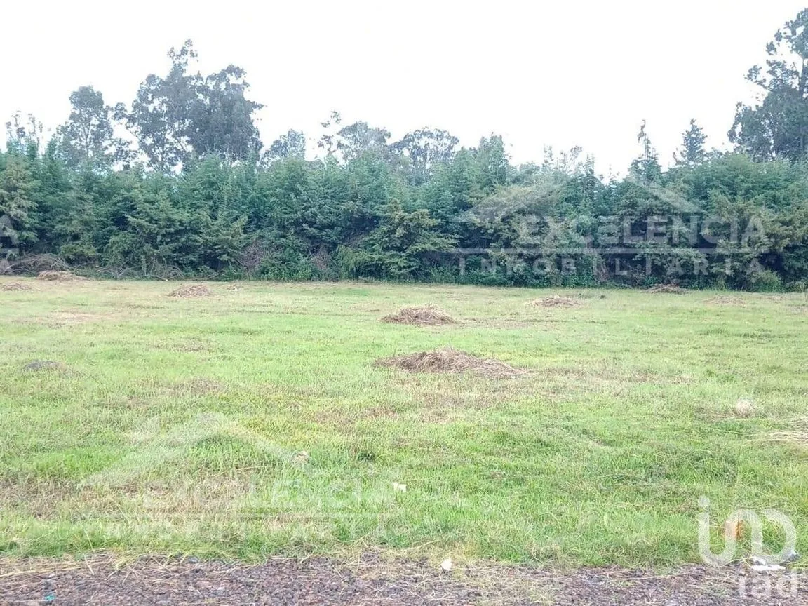 Terreno en Venta en El Manzanillal (Colonia Enrique Ramírez), Pátzcuaro, Michoacán | NEX-228101 | iad México | Foto 7 de 14