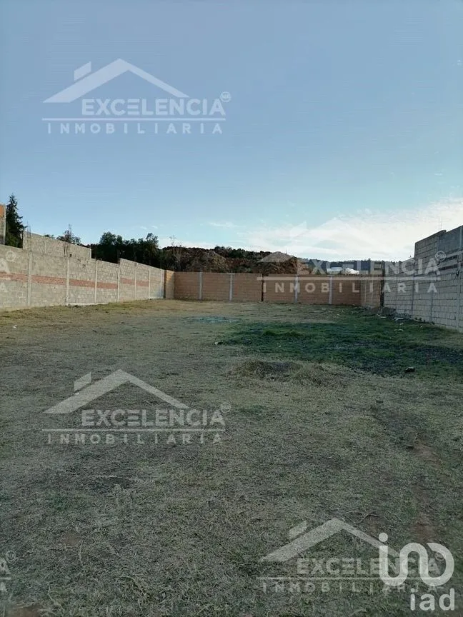 Terreno en Venta en El Manzanillal (Colonia Enrique Ramírez), Pátzcuaro, Michoacán | NEX-228101 | iad México | Foto 8 de 14