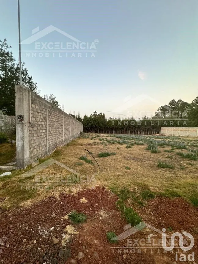 Terreno en Venta en El Manzanillal (Colonia Enrique Ramírez), Pátzcuaro, Michoacán | NEX-228101 | iad México | Foto 10 de 14