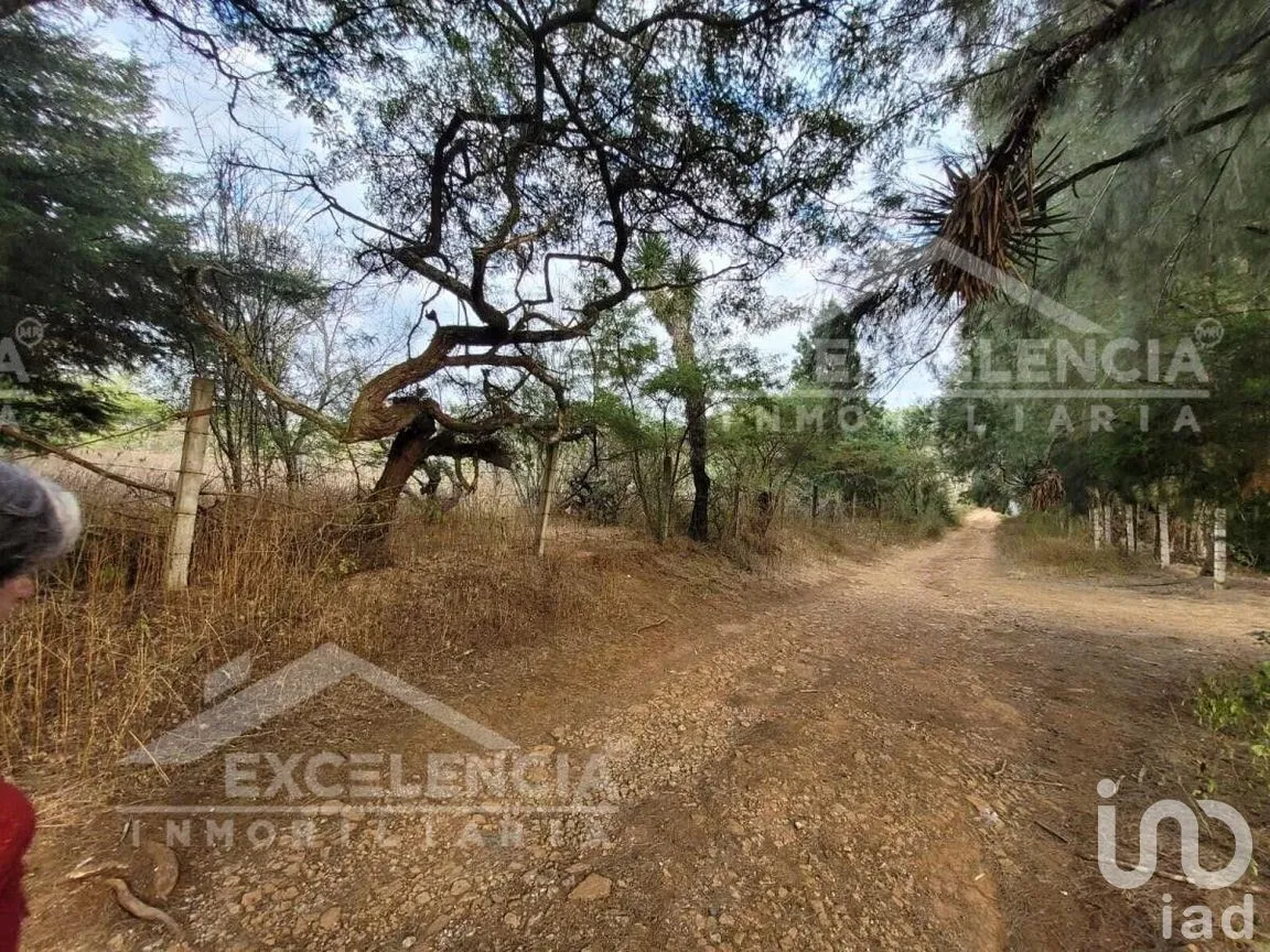 Terreno en Venta en Mil Cumbres, Morelia, Michoacán | NEX-228181 | iad México | Foto 3 de 7