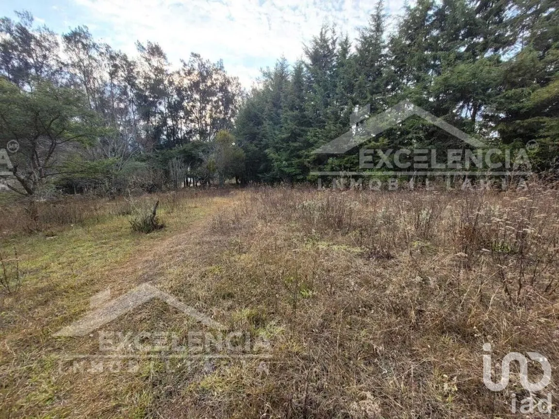 Terreno en Venta en Mil Cumbres, Morelia, Michoacán | NEX-228181 | iad México | Foto 5 de 7