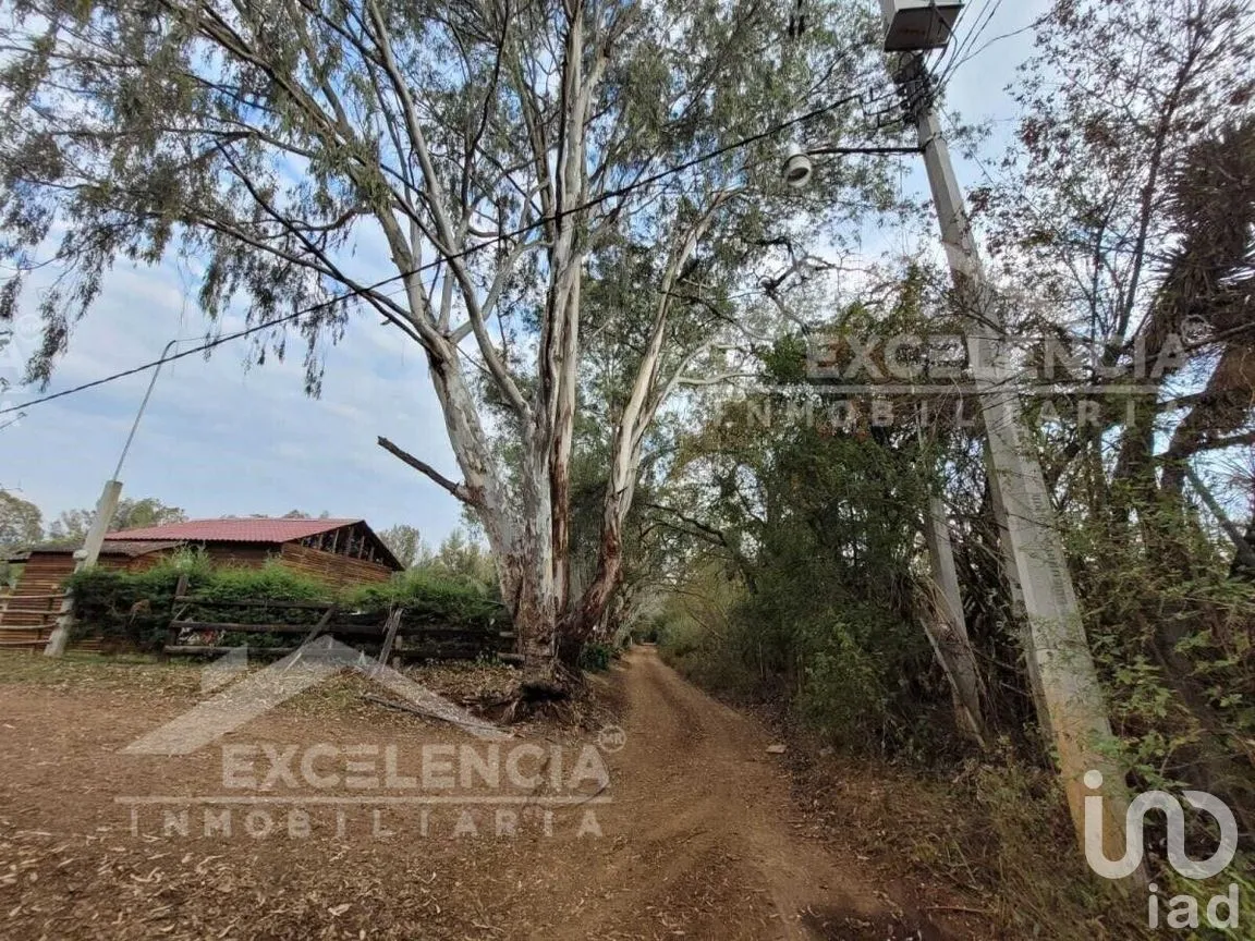 Terreno en Venta en Mil Cumbres, Morelia, Michoacán | NEX-228181 | iad México | Foto 6 de 7