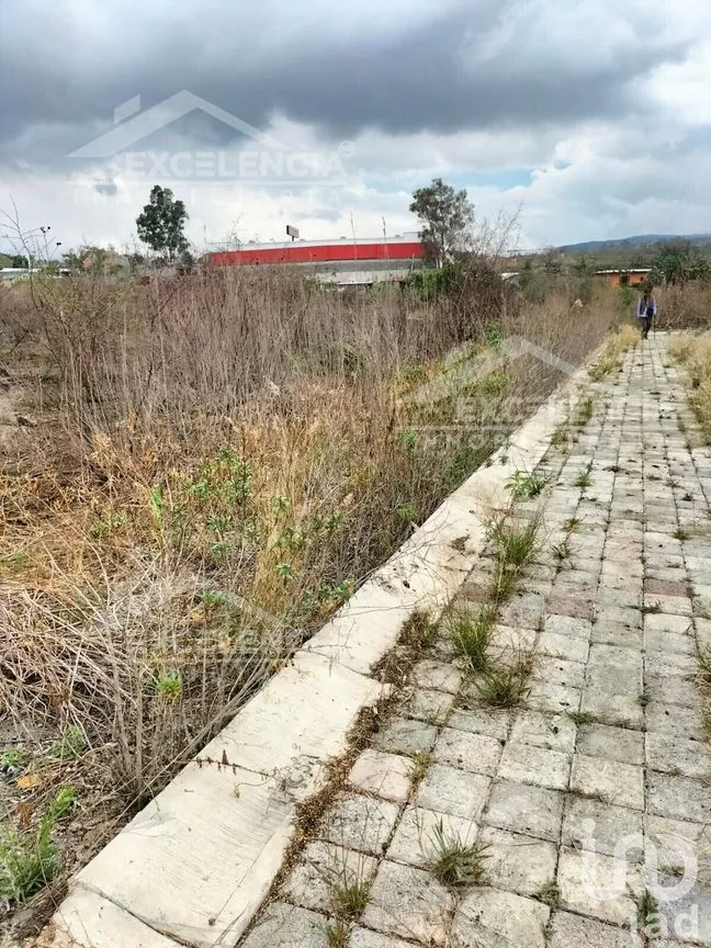 Terreno en Venta en Ignacio Allende, Morelia, Michoacán | NEX-228186 | iad México | Foto 5 de 6