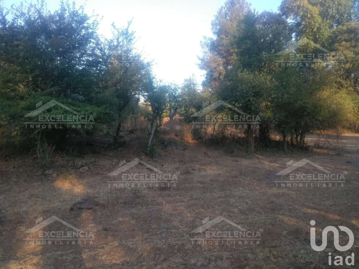 Terreno en Venta en Lázaro Cárdenas, Pátzcuaro, Michoacán | NEX-231893 | iad México | Foto 2 de 18
