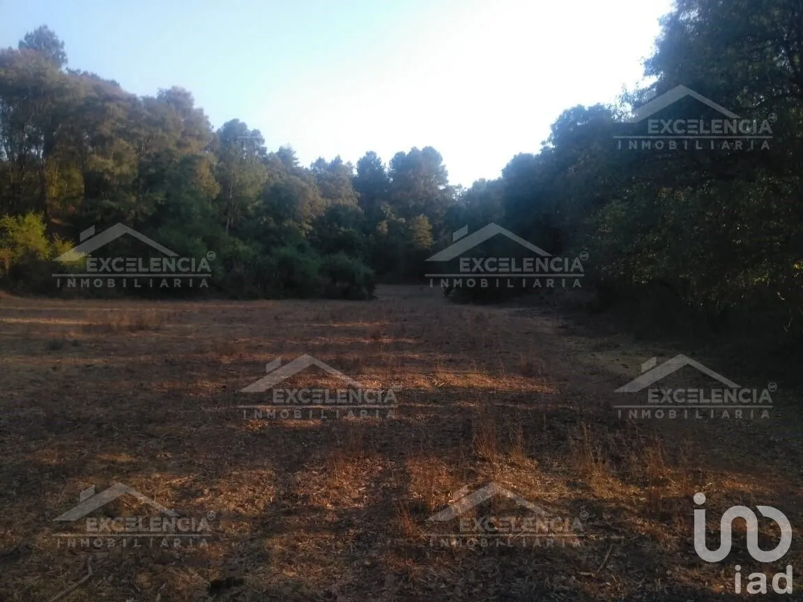Terreno en Venta en Lázaro Cárdenas, Pátzcuaro, Michoacán | NEX-231893 | iad México | Foto 11 de 18