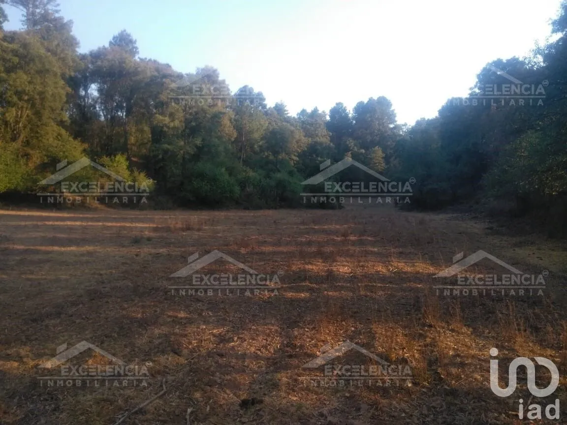 Terreno en Venta en Lázaro Cárdenas, Pátzcuaro, Michoacán | NEX-231893 | iad México | Foto 12 de 18