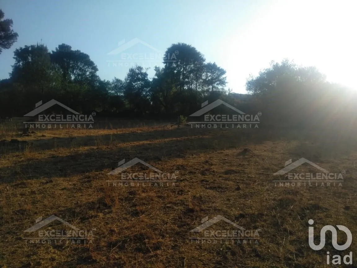 Terreno en Venta en Lázaro Cárdenas, Pátzcuaro, Michoacán | NEX-231893 | iad México | Foto 13 de 18