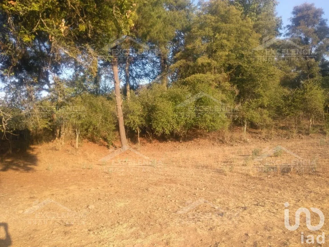Terreno en Venta en Lázaro Cárdenas, Pátzcuaro, Michoacán | NEX-231893 | iad México | Foto 14 de 18