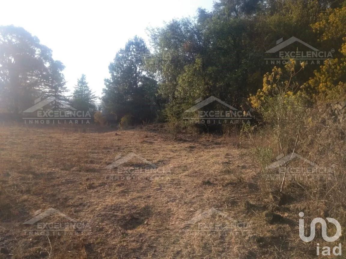 Terreno en Venta en Lázaro Cárdenas, Pátzcuaro, Michoacán | NEX-231893 | iad México | Foto 15 de 18
