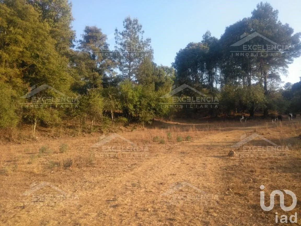 Terreno en Venta en Lázaro Cárdenas, Pátzcuaro, Michoacán | NEX-231893 | iad México | Foto 17 de 18