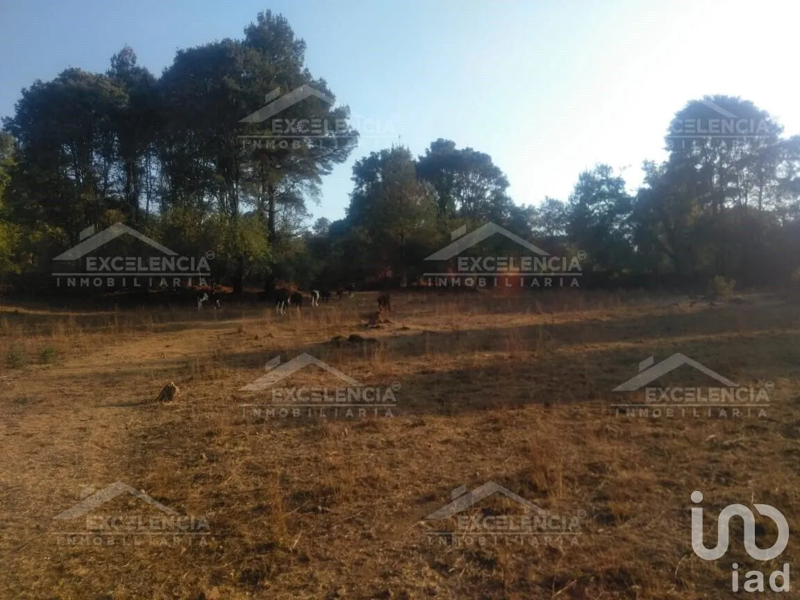 Terreno en Venta en Lázaro Cárdenas, Pátzcuaro, Michoacán | NEX-231893 | iad México | Foto 18 de 18