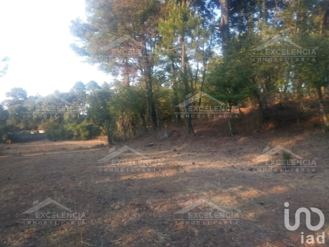 Terreno en Venta en Lázaro Cárdenas, Pátzcuaro, Michoacán | NEX-231893 | iad México | Foto 3 de 18