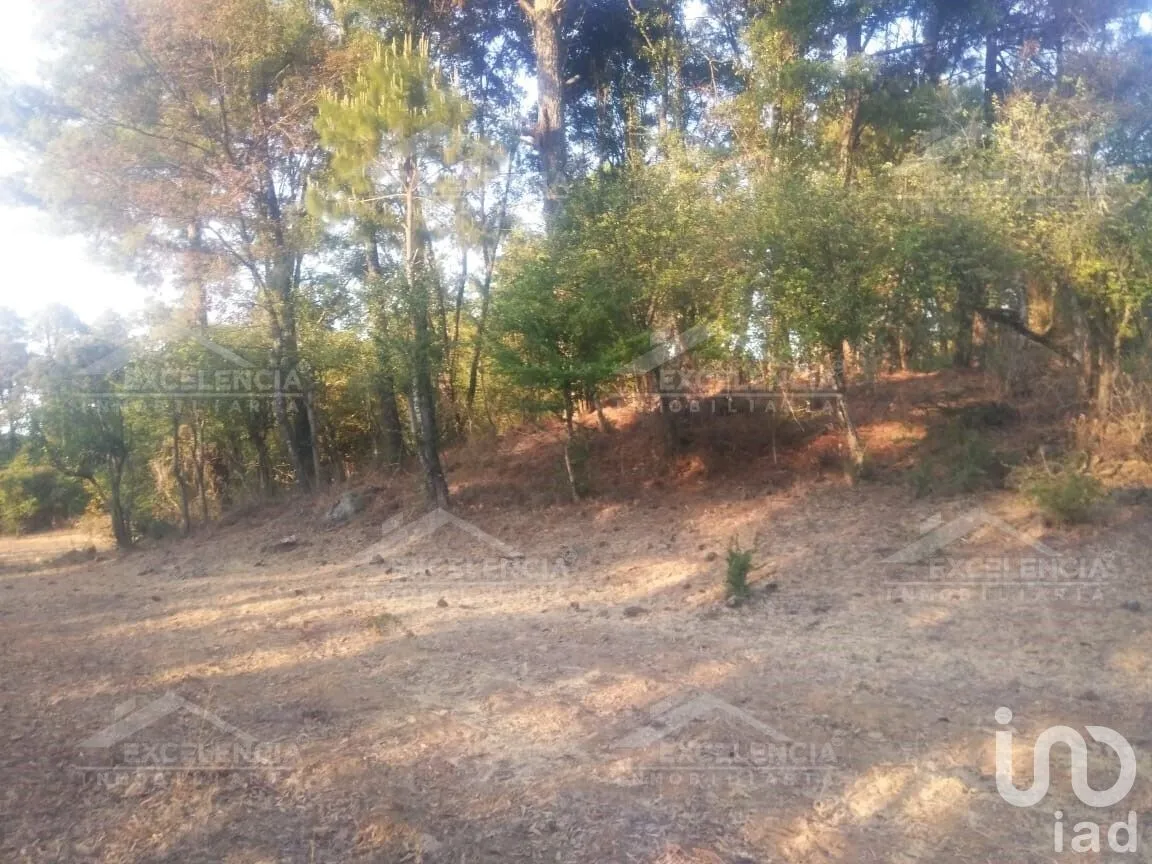 Terreno en Venta en Lázaro Cárdenas, Pátzcuaro, Michoacán | NEX-231893 | iad México | Foto 4 de 18