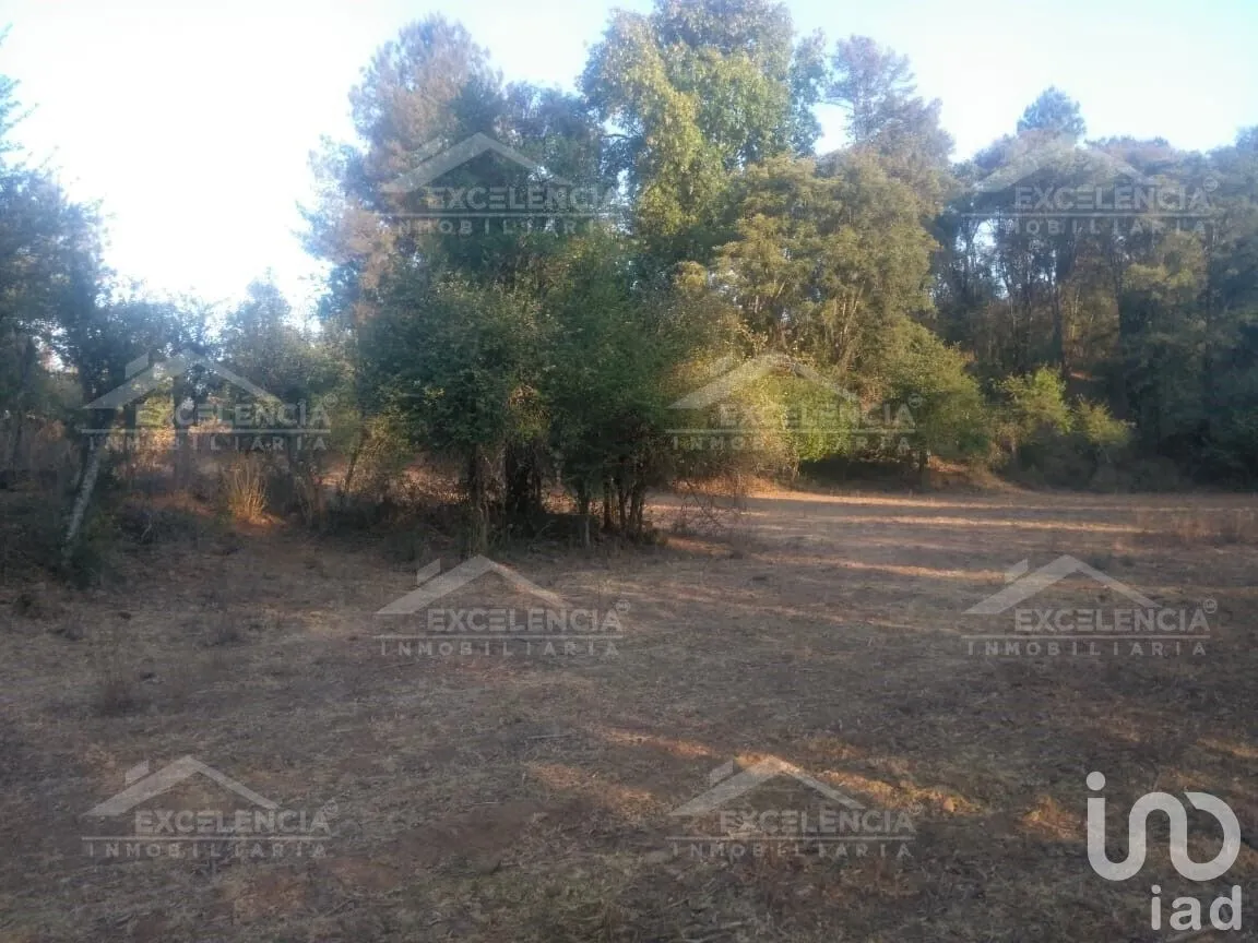 Terreno en Venta en Lázaro Cárdenas, Pátzcuaro, Michoacán | NEX-231893 | iad México | Foto 5 de 18