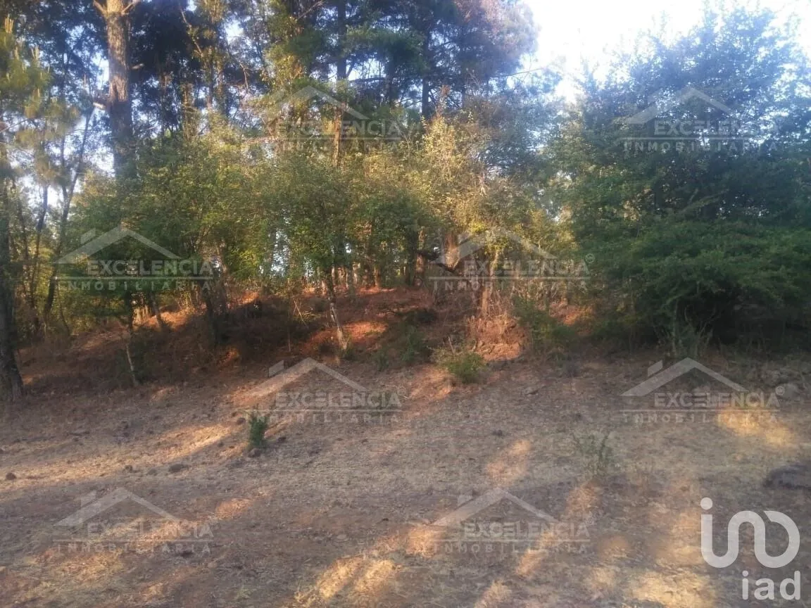 Terreno en Venta en Lázaro Cárdenas, Pátzcuaro, Michoacán | NEX-231893 | iad México | Foto 6 de 18