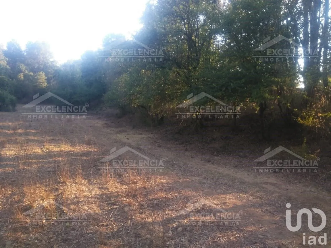 Terreno en Venta en Lázaro Cárdenas, Pátzcuaro, Michoacán | NEX-231893 | iad México | Foto 7 de 18