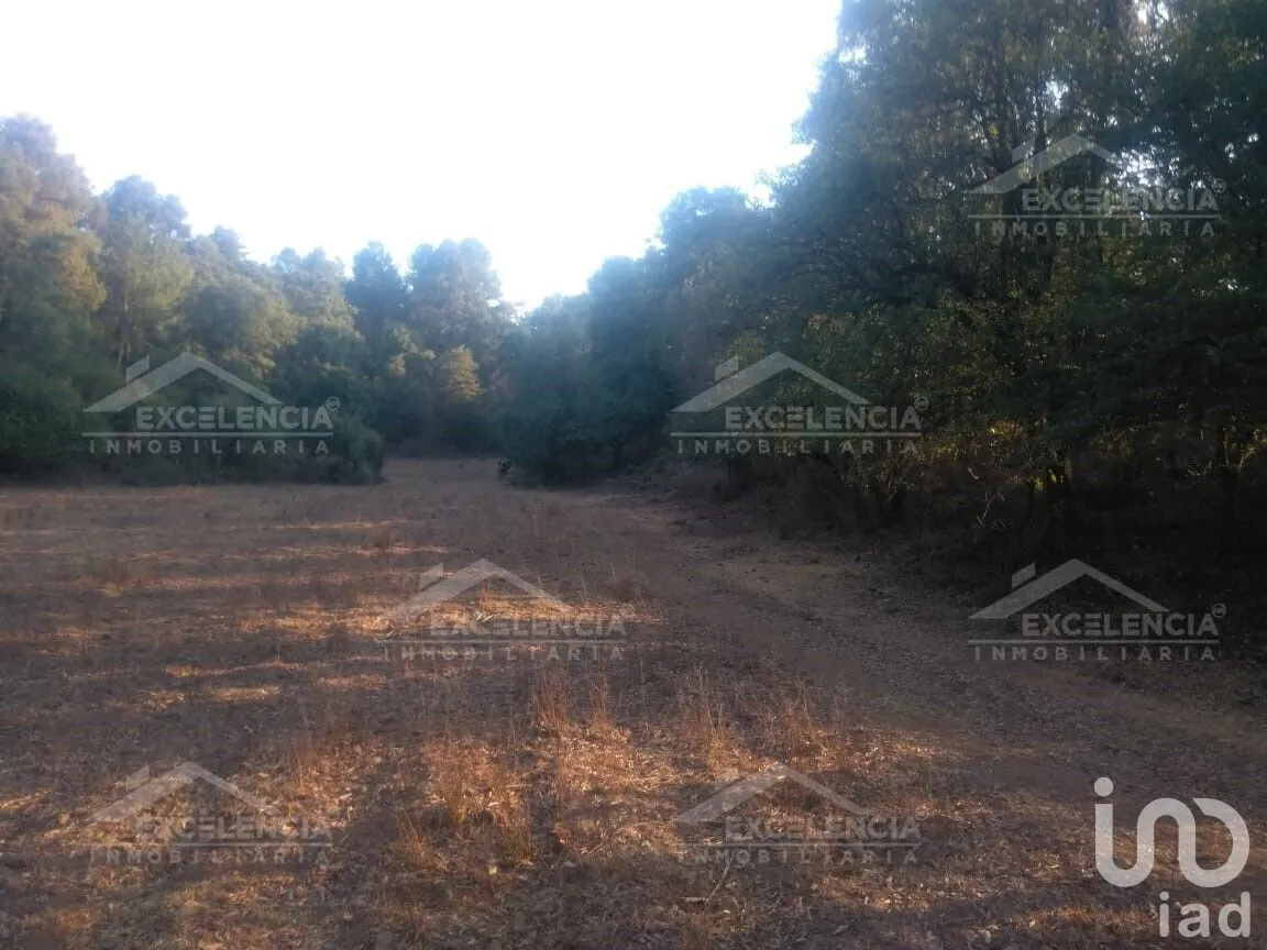 Terreno en Venta en Lázaro Cárdenas, Pátzcuaro, Michoacán | NEX-231893 | iad México | Foto 8 de 18