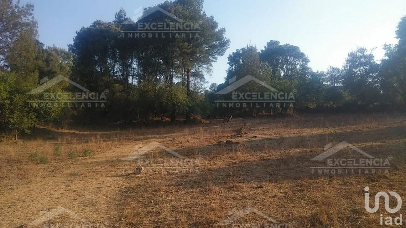 Terreno en Venta en Lázaro Cárdenas, Pátzcuaro, Michoacán | NEX-231893 | iad México | Foto 9 de 18