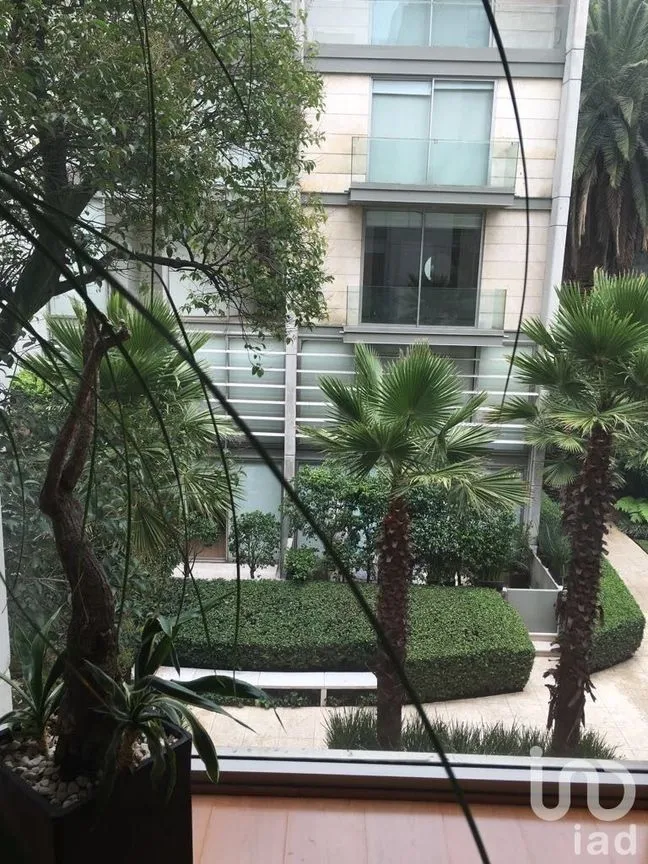 Departamento en Renta en Polanco I Sección, Miguel Hidalgo, Ciudad de México | NEX-231698 | iad México | Foto 2 de 46