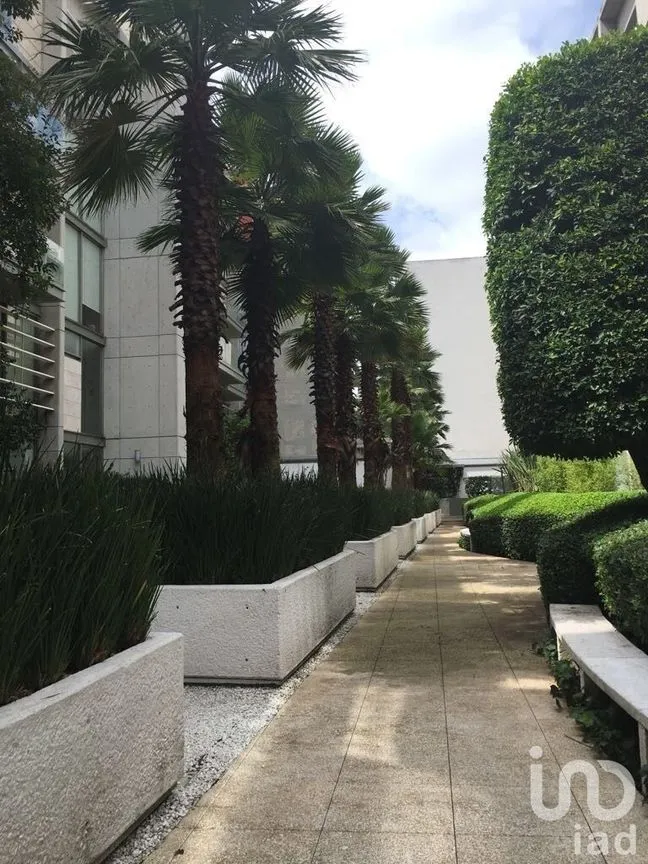 Departamento en Renta en Polanco I Sección, Miguel Hidalgo, Ciudad de México | NEX-231698 | iad México | Foto 12 de 46