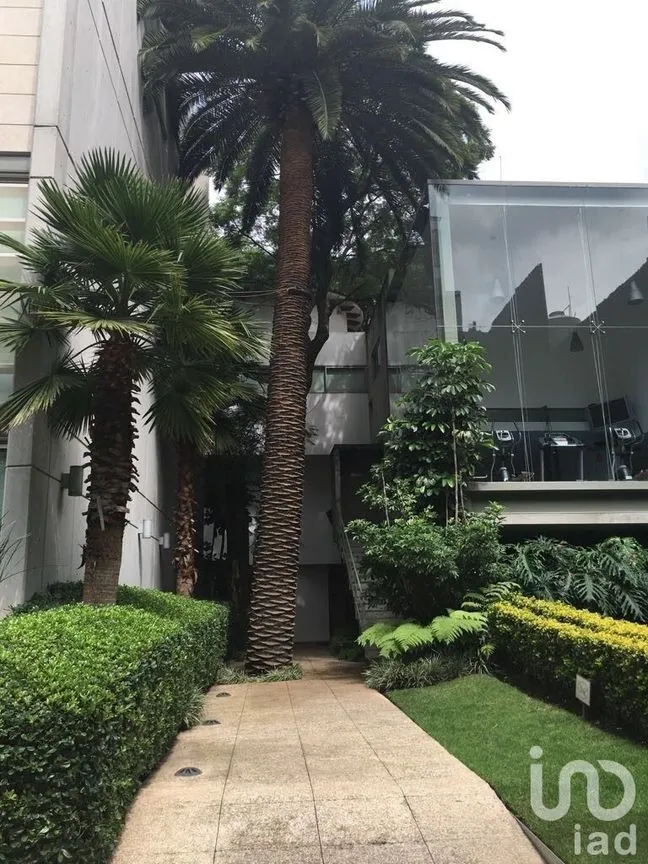 Departamento en Renta en Polanco I Sección, Miguel Hidalgo, Ciudad de México | NEX-231698 | iad México | Foto 14 de 46