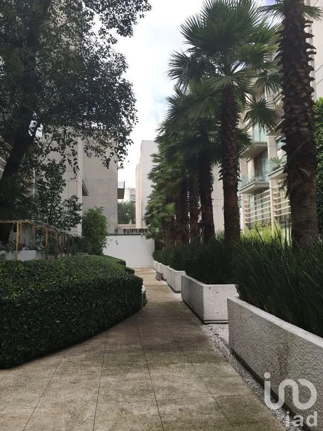 Departamento en Renta en Polanco I Sección, Miguel Hidalgo, Ciudad de México | NEX-231698 | iad México | Foto 16 de 46