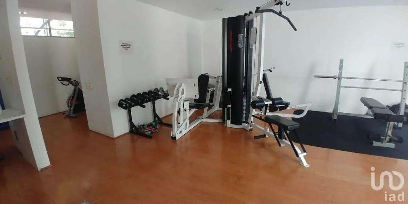 Departamento en Renta en Polanco I Sección, Miguel Hidalgo, Ciudad de México | NEX-231698 | iad México | Foto 32 de 46