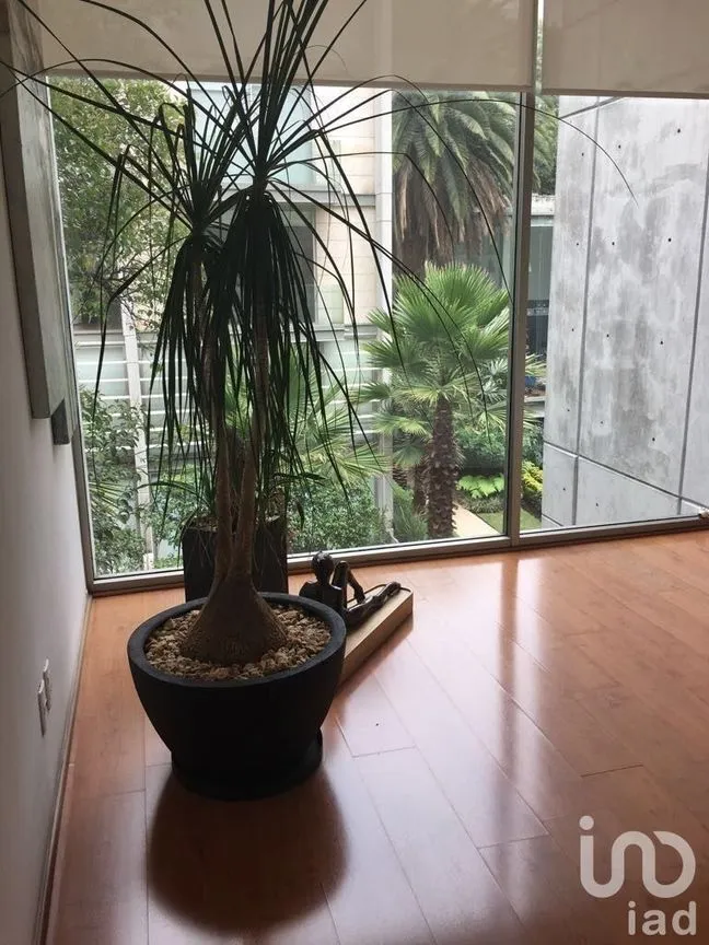 Departamento en Renta en Polanco I Sección, Miguel Hidalgo, Ciudad de México | NEX-231698 | iad México | Foto 5 de 46