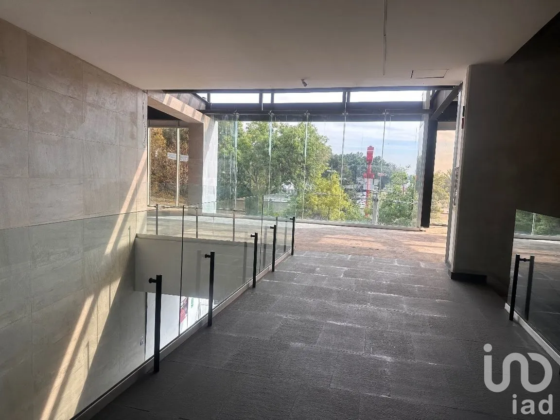 Oficina en Renta en Anzures, Miguel Hidalgo, Ciudad de México | NEX-277792 | iad México | Foto 39 de 51