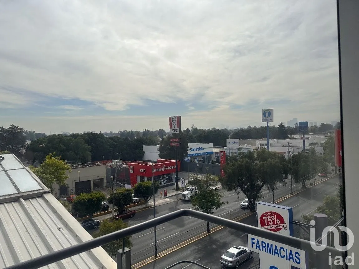 Oficina en Renta en Anzures, Miguel Hidalgo, Ciudad de México | NEX-277792 | iad México | Foto 43 de 51