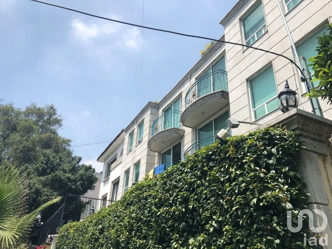 Oficina en Renta en Polanco V Sección, Miguel Hidalgo, Ciudad de México | NEX-277797 | iad México | Foto 12 de 21