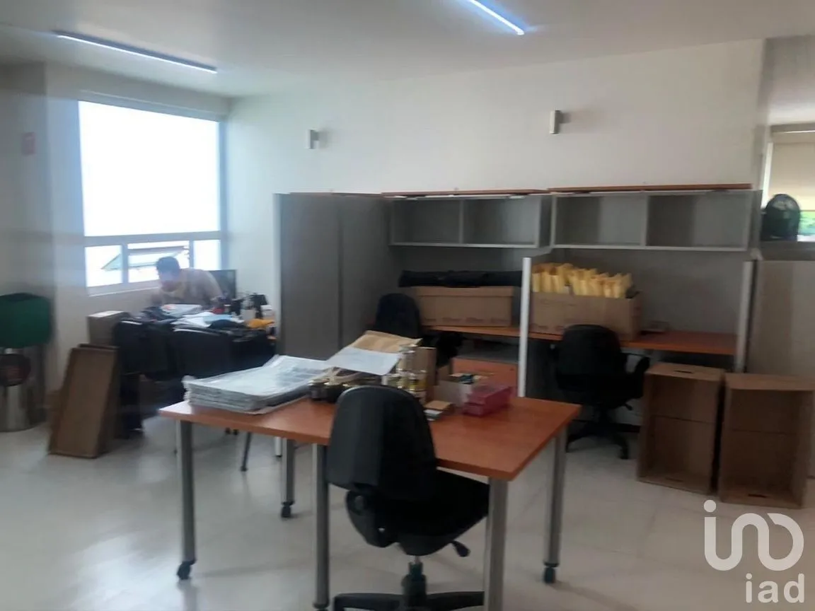 Oficina en Renta en Polanco IV Sección, Miguel Hidalgo, Ciudad de México | NEX-277807 | iad México | Foto 12 de 24