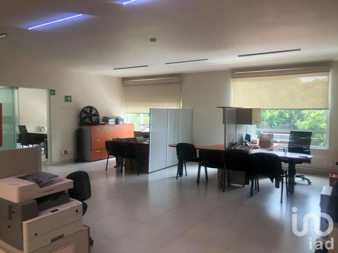 Oficina en Renta en Polanco IV Sección, Miguel Hidalgo, Ciudad de México | NEX-277807 | iad México | Foto 19 de 24