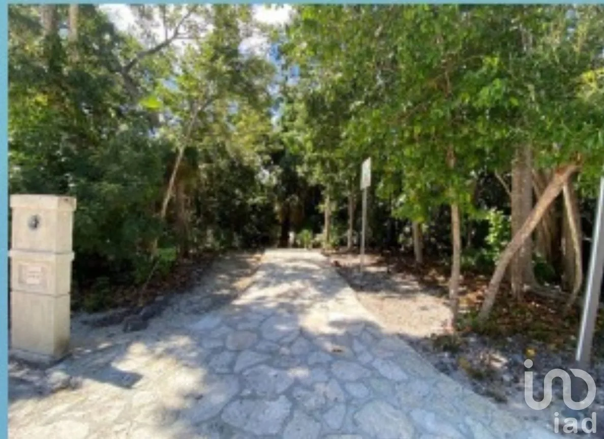 Terreno en Venta en Puerto Morelos, Puerto Morelos, Quintana Roo | NEX-283109 | iad México | Foto 8 de 9