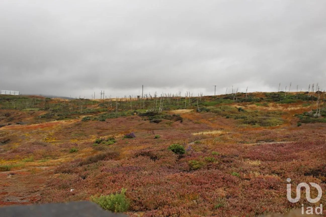 Terreno en Venta en La Misión, Ensenada, Baja California | NEX-227935 | iad México | Foto 5 de 6
