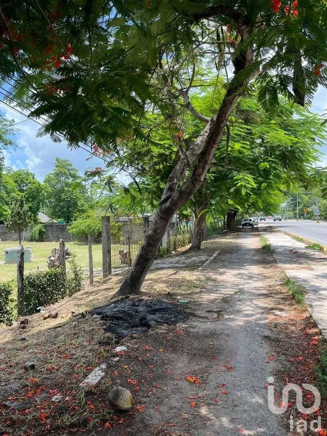 Terreno en Venta en Quintín Arauz, Paraíso, Tabasco | NEX-226690 | iad México | Foto 2 de 7