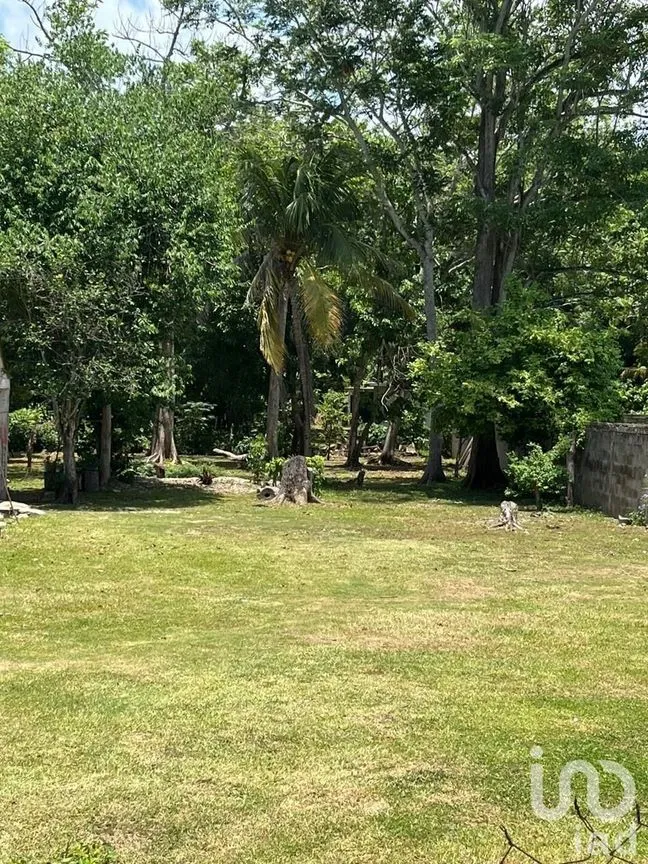 Terreno en Venta en Quintín Arauz, Paraíso, Tabasco | NEX-226690 | iad México | Foto 3 de 7