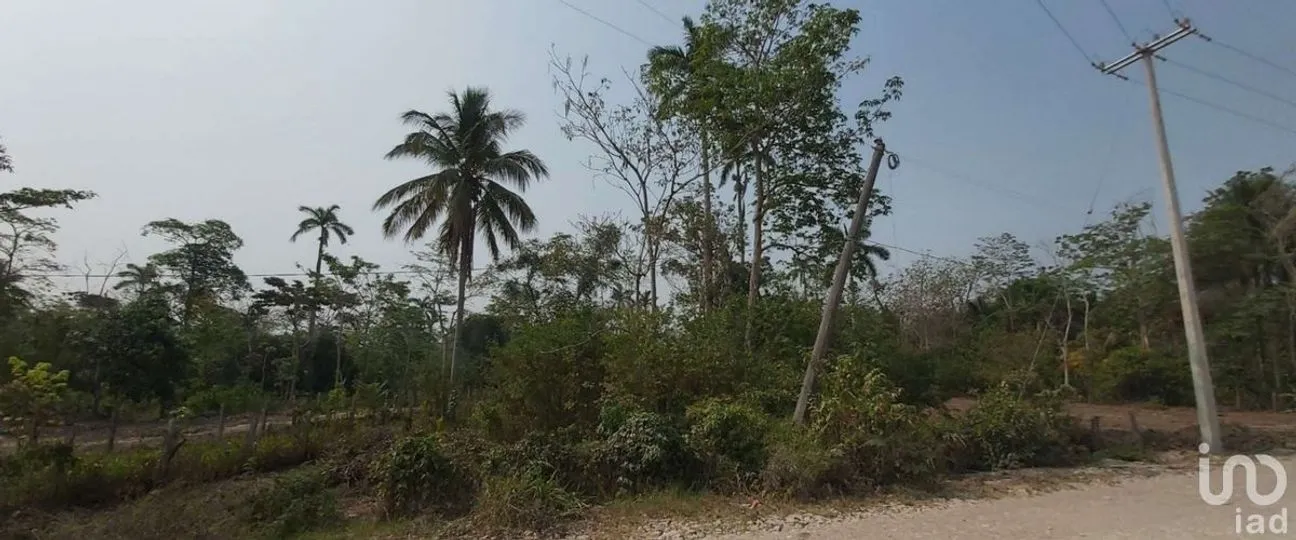 Terreno en Venta en Occidente (San Francisco), Paraíso, Tabasco | NEX-228376 | iad México | Foto 6 de 7