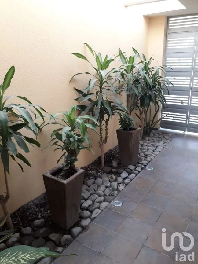 Casa en Venta en Guanajay, Paraíso, Tabasco | NEX-229548 | iad México | Foto 4 de 16