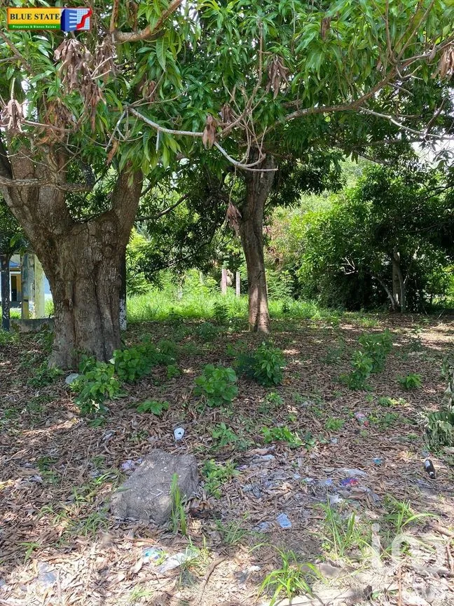 Terreno en Venta en Las Flores, Paraíso, Tabasco | NEX-278442 | iad México | Foto 5 de 6