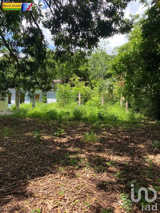 Terreno en Venta en Las Flores, Paraíso, Tabasco | NEX-278442 | iad México | Foto 6 de 6