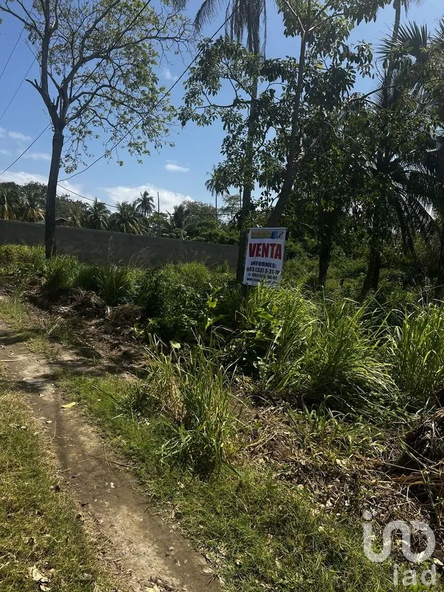 Terreno en Venta en Petrolera, Paraíso, Tabasco | NEX-278475 | iad México | Foto 5 de 6