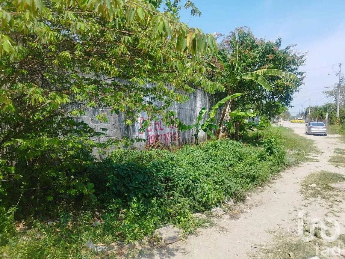 Terreno en Venta en Chichicapa, Comalcalco, Tabasco | NEX-278484 | iad México | Foto 2 de 6