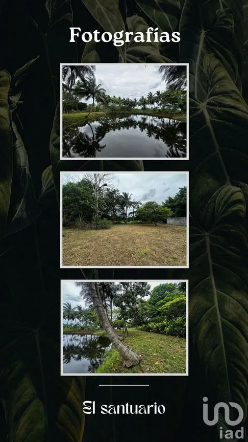 Terreno en Venta en Oriente 2a Sección (Palma Hueca), Paraíso, Tabasco | NEX-278487 | iad México | Foto 4 de 9