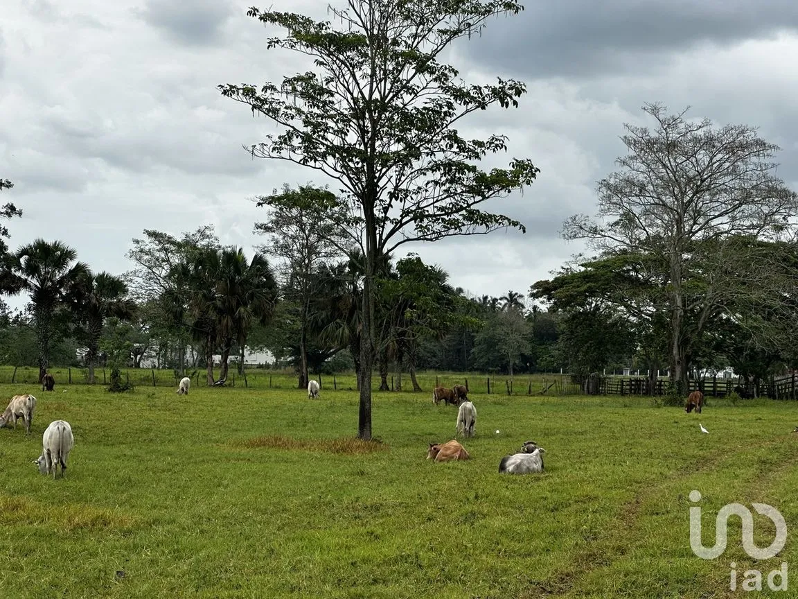 Terreno en Venta en Norte 2a Secc, Comalcalco, Tabasco | NEX-278490 | iad México | Foto 2 de 5