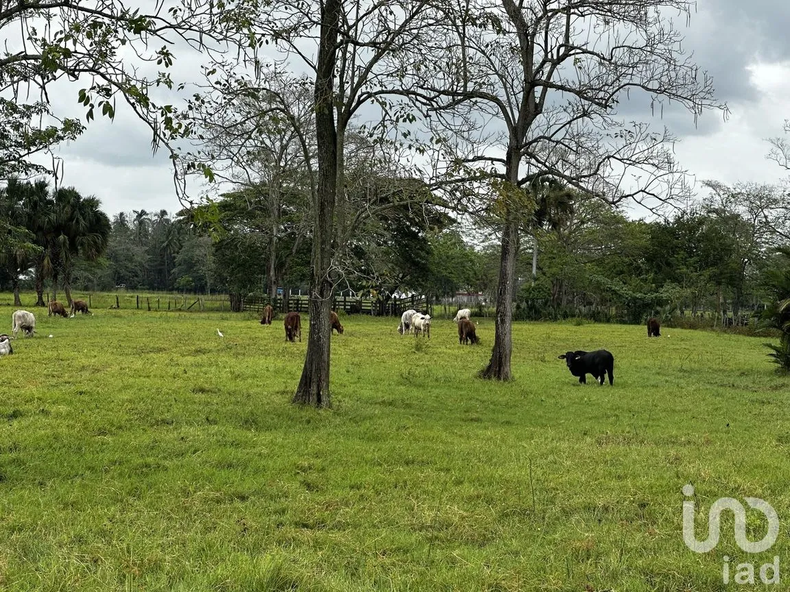 Terreno en Venta en Norte 2a Secc, Comalcalco, Tabasco | NEX-278490 | iad México | Foto 3 de 5